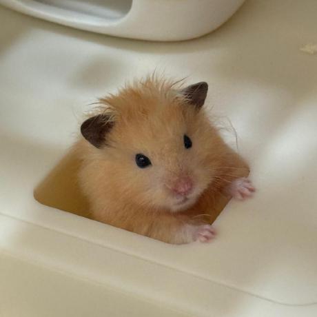 Hyojinnnnnan Hyojin An Github - Best Gradient Images in Retina