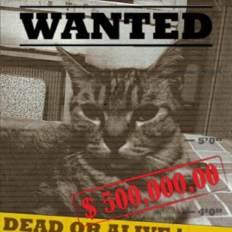 Bmitegui Brian Mite Github - Ultra HD Minimal Images for Desktop