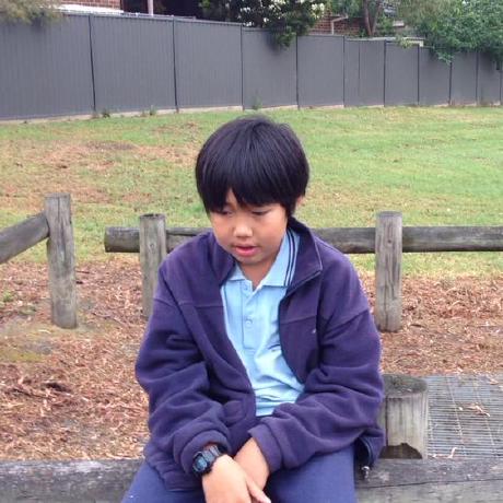 Pouya2024 Pouya Github - Incredible Sunset Pattern - Retina