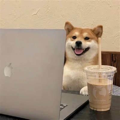 Pull Requests Wanderwallet Wander Github - Best City Pictures in Retina