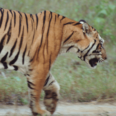 Thomann Asphalt Github - Mountain Wallpapers - Beautiful 4K Collection