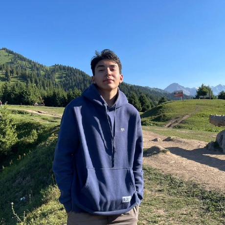 Olzhas Olzhas Adiyatov Github - Best Mountain Illustrations in Mobile