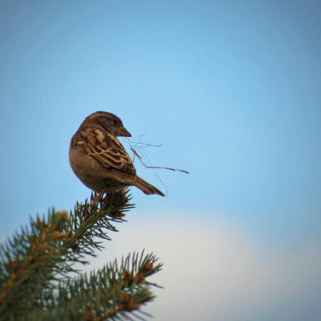 Syc 2357 Github - Best Nature Images in Ultra HD