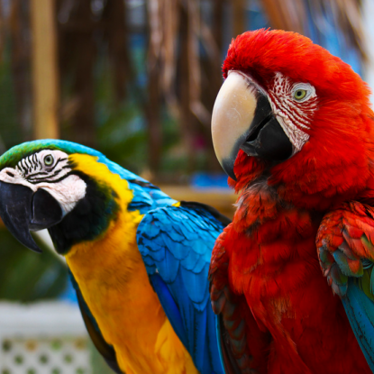 Ts Tanya Dmno Github - Download Creative Gradient Design | HD