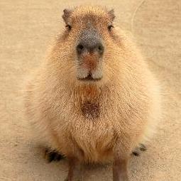 Atsuki Momose Github - Download Professional Ocean Photo | 8K