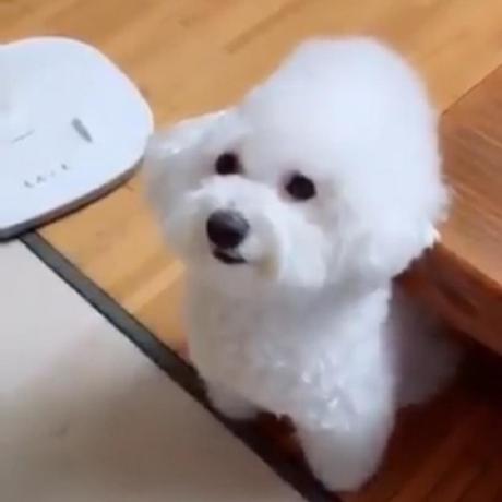 Somoon0422 So Hee Kim Github - Sunset Background Collection - Retina Quality