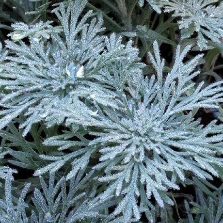 Github Chmn106 Miki - Light Image Collection - Ultra HD Quality