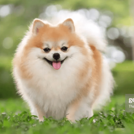 Yama Search Github - Best Light Patterns in Full HD