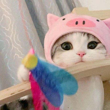 Bryan Croteau On Linkedin Github Moirai Lang Moirai Kt A Scripting - Landscape Design Collection - Mobile Quality