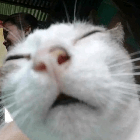 Sing 041 Github - Download Ultra HD City Art | Full HD