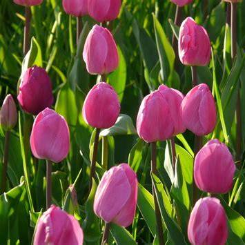 Joycebeulah Joyce Beulah R Github - City Arts - Stunning HD Collection