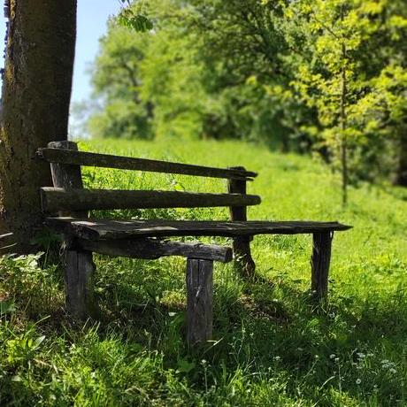 Asmita Holkar Github - Vintage Design Collection - Retina Quality