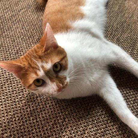 Joone Joone Hur Github - Incredible Gradient Picture - Full HD