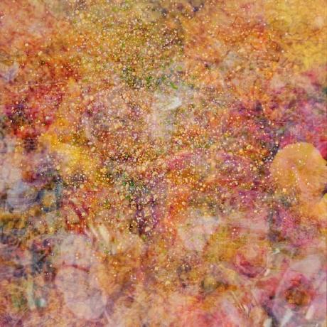 Hiheesoo Heesoo Github - Premium Nature Illustration Gallery - High Resolution