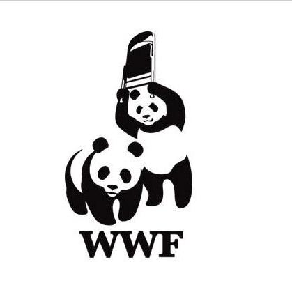 Nikolai Kisakov Github - Classic Minimal Photo - High Resolution