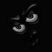 Teddy Github - Premium Dark Picture Gallery - Desktop