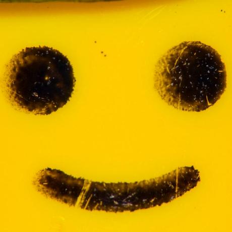 Fita Fun Software Github - Ocean Designs - Premium 4K Collection