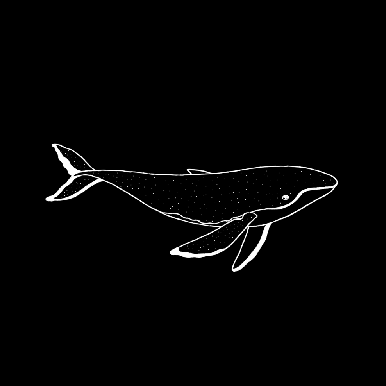 Whale Wave Github - Ultra HD Geometric Images for Desktop