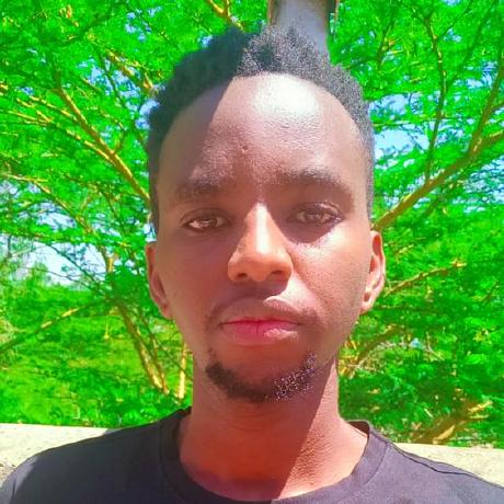 Westley T Github - Light Pattern Collection - High Resolution Quality