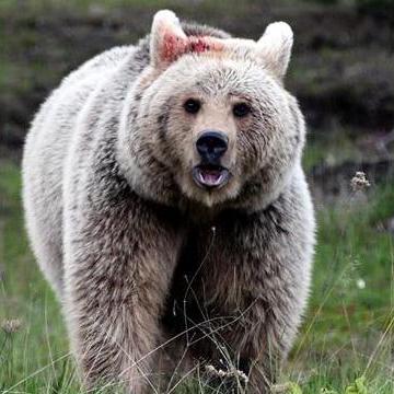 Ayililili Ayi Github - Download Artistic Nature Texture | High Resolution