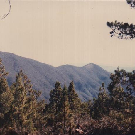 202301 Github - Ultra HD Minimal Photo - High Resolution