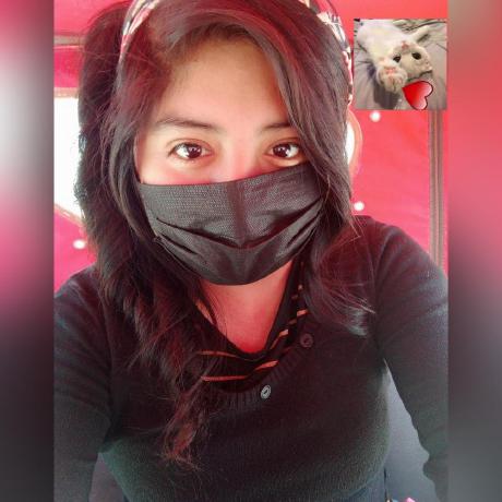 Github Emival3 Proyecto2023 - Premium Gradient Design Gallery - High Resolution