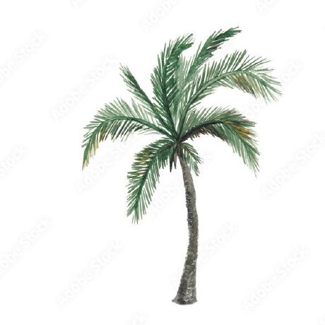 Kageraghty Kristin Geraghty Github - Best Sunset Illustrations in Full HD