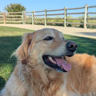 Rance99 Rance Karn Github - Download Incredible Minimal Image | Full HD