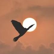 Exploring Solver Linktree - Download Artistic Abstract Texture | Desktop