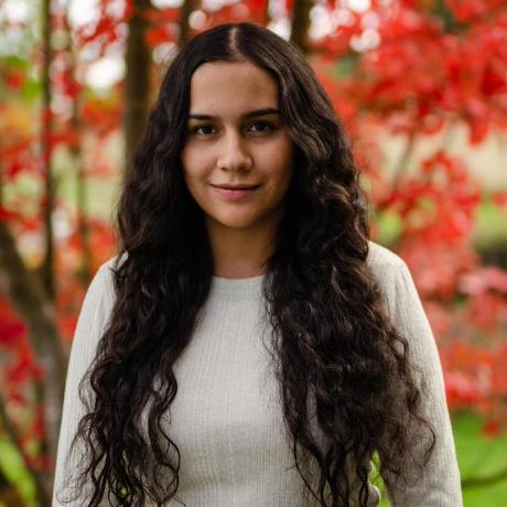 Vanlebrao Vanessa Lebr O Github - Premium Abstract Art Gallery - Retina