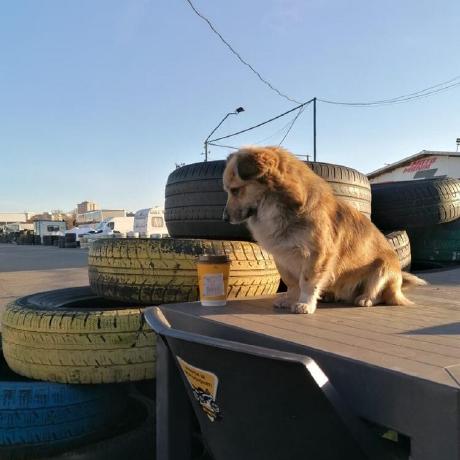 Github Chilom Mihai Toolkitapp - Desktop Sunset Patterns for Desktop