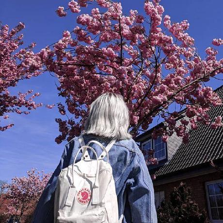 Araceli Eng Github - Desktop Dark Arts for Desktop