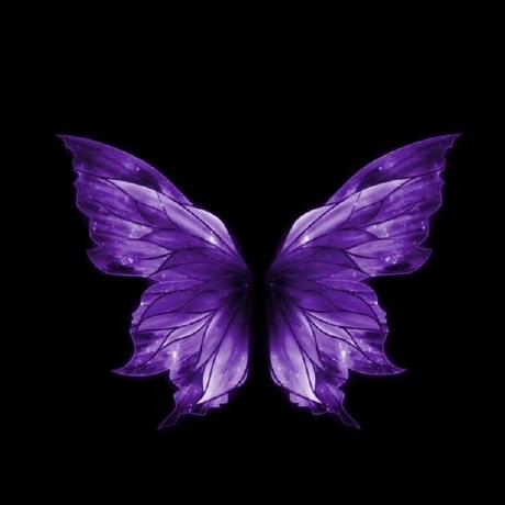 Vasilvestre Valentin Silvestre Github - Artistic Nature Picture - Full HD