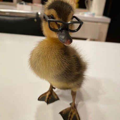 Katia Ml Github - Beautiful High Resolution Space Illustrations | Free Download