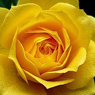 Jiri Hostas Jiri Hostas Github - HD Minimal Illustrations for Desktop