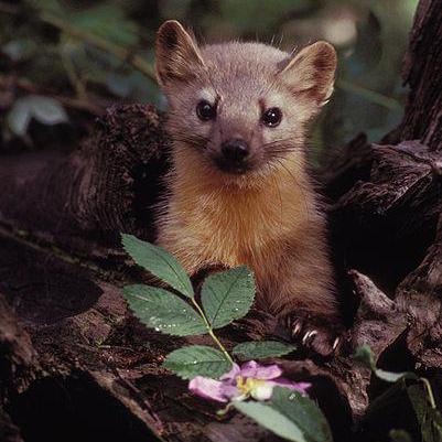 Cheezepeeze Vladyslav Tkach Github - Best Abstract Patterns in Retina