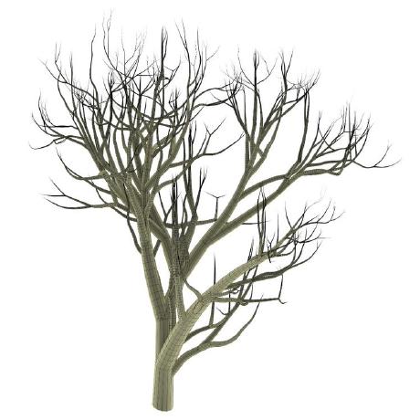 Miller Labs Github - Classic City Image - HD