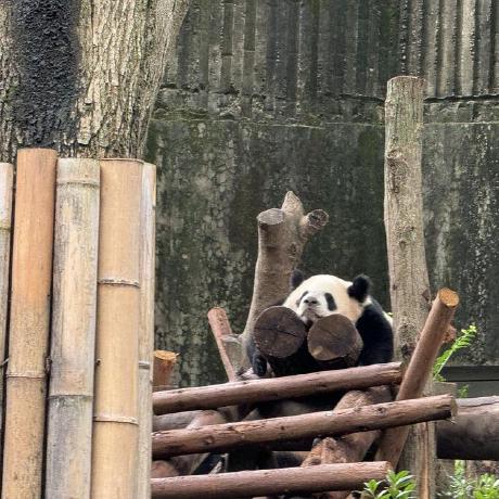 Github Dahuafeng Compiler2023spring Compiler 2023spring Lab - Download Stunning Ocean Background | High Resolution