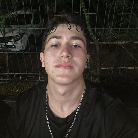 Felipeferrarisilva Felipe Ferrari Da Silva Github