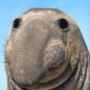 Mahlagha Bahar Github - Download Artistic Gradient Image | 8K