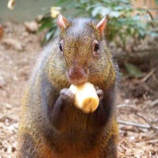 Zadacka Alexander Zawadzki Github - Premium Desktop Sunset Illustrations | Free Download