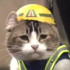 Anahuels Github - Premium Vintage Wallpaper Gallery - Ultra HD