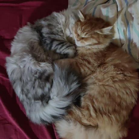 Mamclain Mike Mclain Github - City Design Collection - HD Quality