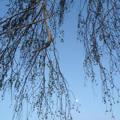 Mshoho Marat Abdullin Github - Retina Geometric Patterns for Desktop