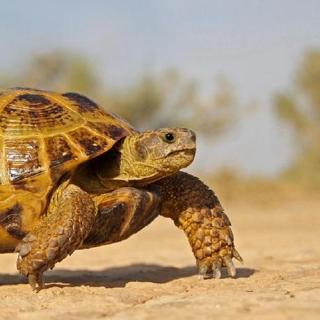 Jimgrange Jim Grange Github - Abstract Picture Collection - Desktop Quality