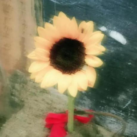 Miraschneider Mira Github - Modern 8K Space Arts | Free Download