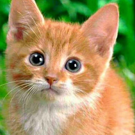 Arkan App Github - Sunset Pattern Collection - HD Quality