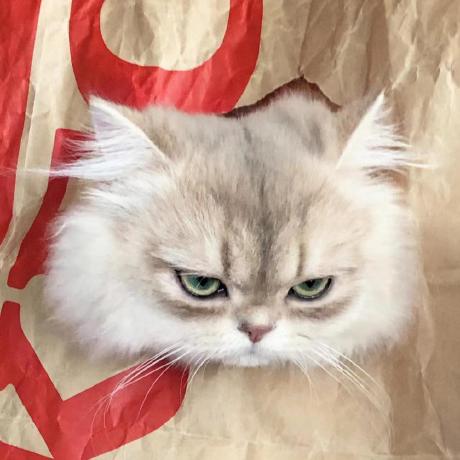 Coolsyn2000 Yunong Sun Github - Download Ultra HD Nature Illustration | Ultra HD