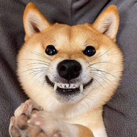 Github Padi Dev Ducda Community System - Gorgeous HD Dark Photos | Free Download