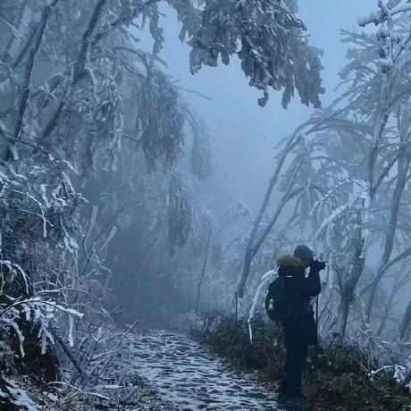 Github Fe Driver Vue Beauty Beautiful Ui Components Build With Vue - Light Designs - Elegant 4K Collection